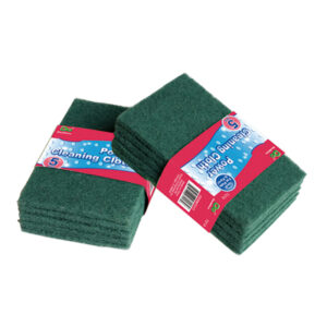 5PC SCOURING PADS