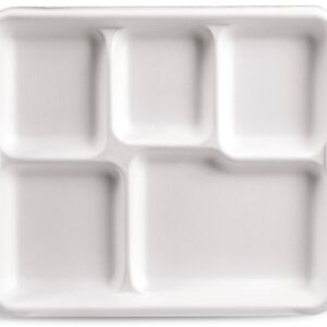 5 compartment school tray